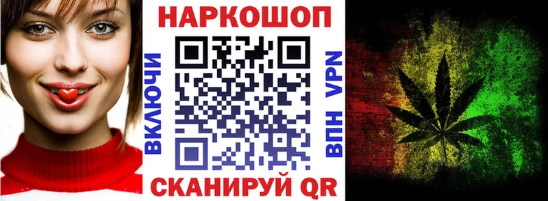 A-PVP Инсар