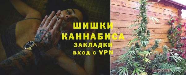 тгк Абаза